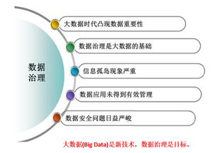 政府数据体检 数据治理标准与服务引领数字化转型